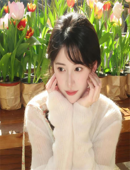 利兹与青鸟制作内幕：的审美特点与艺术成就 了解一部电影是如何诞生